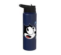 Felix The Cat Scaredy-Cat Halloween Stainless Steel Insulated Water Bottle