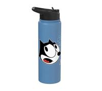 Felix The Cat Scaredy-Cat Halloween Stainless Steel Insulated Water Bottle