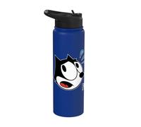 Felix The Cat Scaredy-Cat Halloween Stainless Steel Insulated Water Bottle