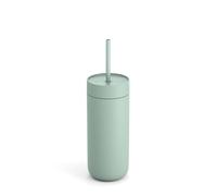 Fellow Carter - Tazza da viaggio per acqua, tè freddo, caffè, frullati, caffè freddo e altro ancora, in acciaio inox, isolamento sottovuoto, con coperchio e cannuccia resistenti alle fuoriuscite,
