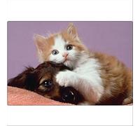 Fellowes 40093 Mousepad Cane e Gatto