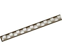 Fellowes 5332002 Dorsi Plastici per Rilegatura, 21 Anelli, Passo 9/16, Diametro 16 mm, Confezione da 25 Pezzi, Bianco