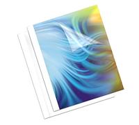 Fellowes 5379601 cartellina