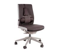 Fellowes 8041801 Supporto schiena con cuscino lombare in memory foam Professional Series Ultimate, Grigio