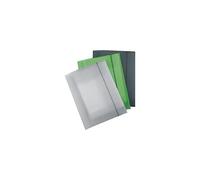 Fellowes U110TGF Cartella Tre Lembi, Trasparente Grigio Fumè