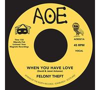 FELONY THEFT - 7-WHEN YOU HAVE LOVE