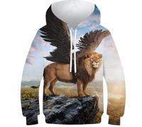Felpa 3D per ragazzi con stampa lupo acchiappasogni, maglione casual con cappuccio, felpa a maniche lunghe, abbigliamento invernale con tasca, Leone alato, 9-11 Jahre