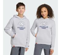 Felpa con cappuccio adidas Minecraft Terrex Light Solid Grey 13-14A