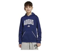 Felpa con Cappuccio Bambino Seasonals Essentials Collegiate Adidas