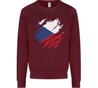 Felpa Con Cappuccio Della Bandiera Ceca Repubblica Ceca Giornata Del Calcio Uomo