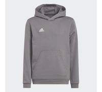 Felpa con cappuccio Entrada 22 Sweat Team Grey Four 5-6A