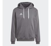 Felpa con cappuccio Entrada 22 Sweat Team Grey Four S
