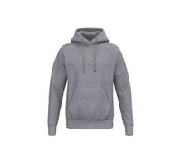 Felpa con cappuccio Erima TS Gris 5XL