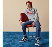 Lvb-Batwing Screenprint Hoodie by Levi's 8A Grigio