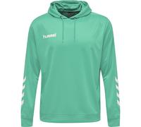 Hummel Felpa Con Cappuccio Promo Poly