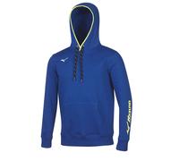 Felpa con cappuccio Mizuno Team Gris XL