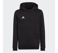 Adidas Felpa Con Cappuccio Entrada 22