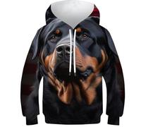 Felpa con cappuccio per bambini 3D Chihuahua Dog18 Pullover Ragazze Ragazzi Felpa con cappuccio Pullover Moda Gioventù Abbigliamento Sportivo Casual Manica Lunga, Bandiera Usa Rottweiler, 12-14 Years