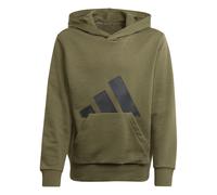 adidas Unisex - Bambini ESSENTIALS BIG LOGO HOODIE, Verde (Olive Strata/Black), 13-14 anni