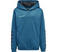 Felpa con cappuccio per bambini Hummel hmlAUTHENTIC Poly Bleu 6 anni