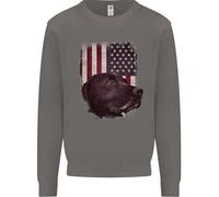 Felpa Con Cappuccio Per Cani Labrador Americano Con Bandiera USA Uomo