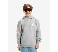 Quiksilver - Omni Logo Hoodie Youth EQBFT03924 Grigio - Abbigliamento - Taglia 12A 12A Grigio
