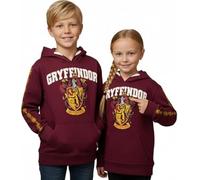 Felpa con cappuccio unisex per bambini di Harry Potter Grifondoro taglie da 1 anno a 13 anni marrone