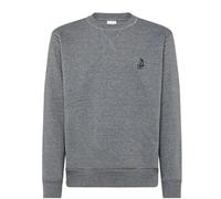 Felpa con logo Campagnolo Gris