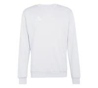 Felpa da tennis da uomo Adidas Entrada 26 Sweat - grey/white - Grigio (M)