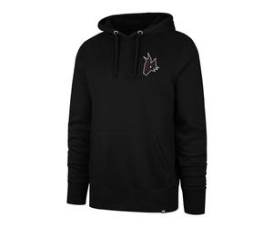Felpa da uomo 47 Brand NHL Arizona Coyotes Imprint Backer 47 BURNSIDE Hood M