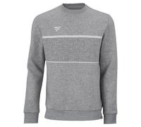 Felpa da uomo Tecnifibre Club Sweater Silver L