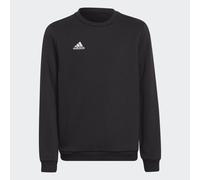 Adidas Entrada 22 Stadium Sw Sweatshirt Nero 7-8 Years Bambini