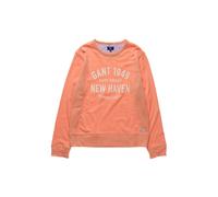 Felpa Gant Da Uomo O2 Gant New Haven C-Neck, Media, Rosa Shell