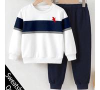 Felpa girocollo a maniche lunghe per ragazzo, stampa classica cool a righe con motivo color block retrò, stampa grafica logo cavaliere di cavalli raffinato, adatta per autunno/inverno, stagione del ri