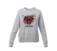Felpa Girocollo Chicago Basket NBA Toro Sneaker Campioni di Basket Jordan Lebron