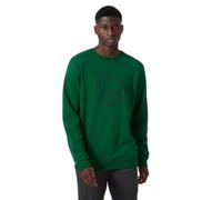 Felpa in cotone Helly Hansen F2F Vert M