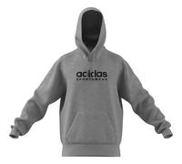 Felpa in pile con cappuccio adidas All Szn Graphic Gris L