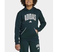 Felpa inverno bambino ragazzo Adidas JV7337 verde-bianco