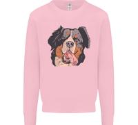Felpa Jumper Bernese Mountain Dog Uomo