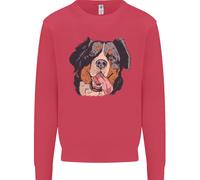 Felpa Jumper Bernese Mountain Dog Uomo