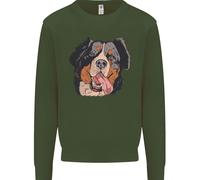 Felpa Jumper Bernese Mountain Dog Uomo