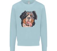 Felpa Jumper Bernese Mountain Dog Uomo