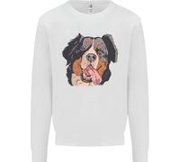 Felpa Jumper Bernese Mountain Dog Uomo