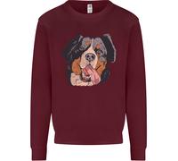 Felpa Jumper Bernese Mountain Dog Uomo