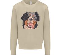 Felpa Jumper Bernese Mountain Dog Uomo