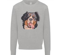 Felpa Jumper Bernese Mountain Dog Uomo