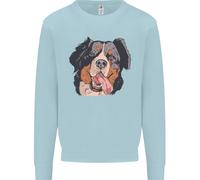 Felpa Jumper Bernese Mountain Dog Uomo