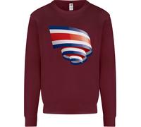 Felpa Jumper Con Bandiera Della Costa Rica Per Il Giorno Ricano Uomo