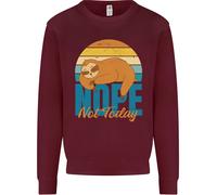 Felpa Jumper Divertente Pigro Uomo Sloth Nope Not Today