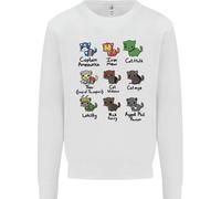 Felpa Jumper Divertenti Supereroi Gatti Per Bambini